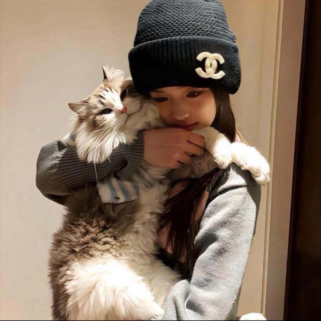 ￴  ￴￴￴  爱丽丝