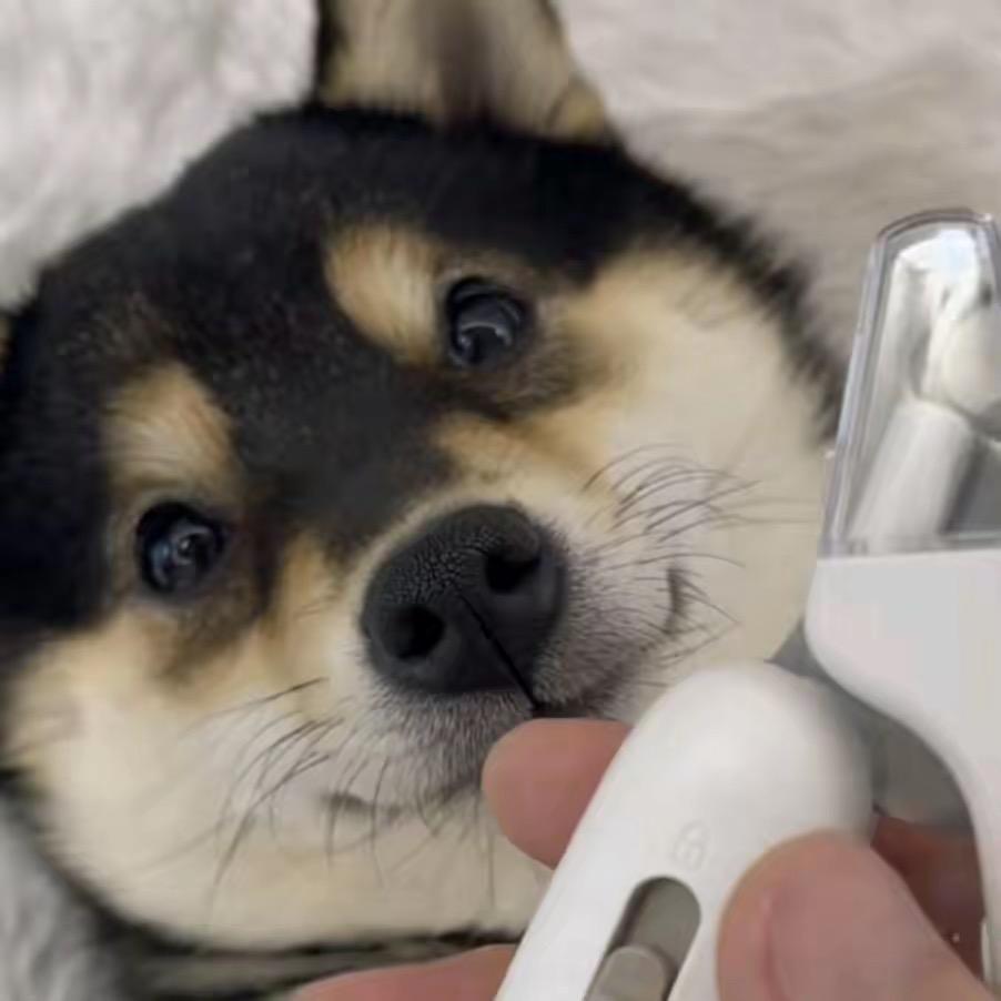 Xu哥