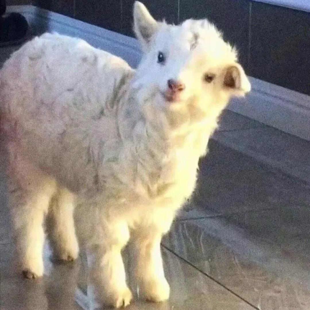 ㅤㅤㅤㅤㅤ
