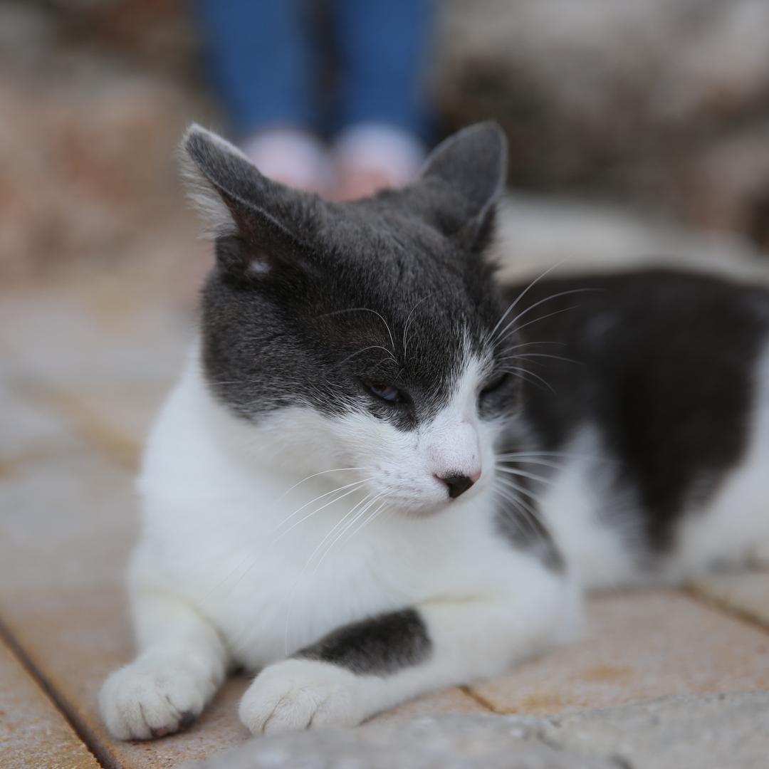 风行者的闲散时光