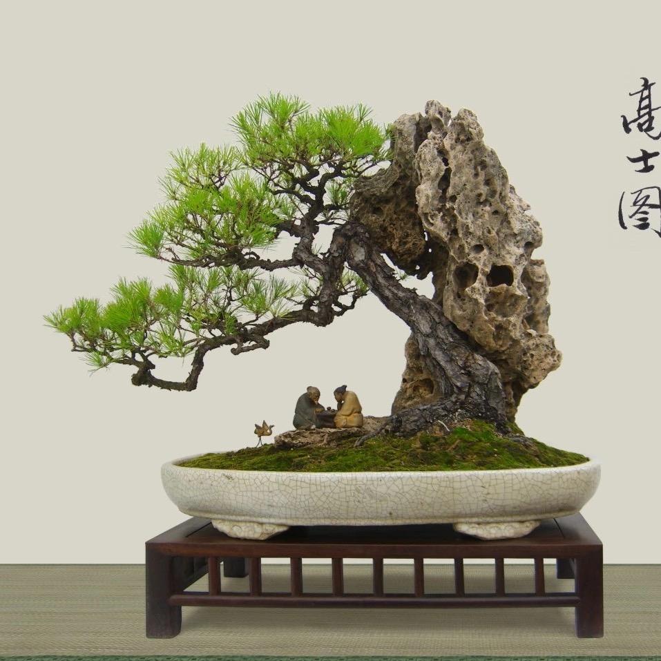 百卉深