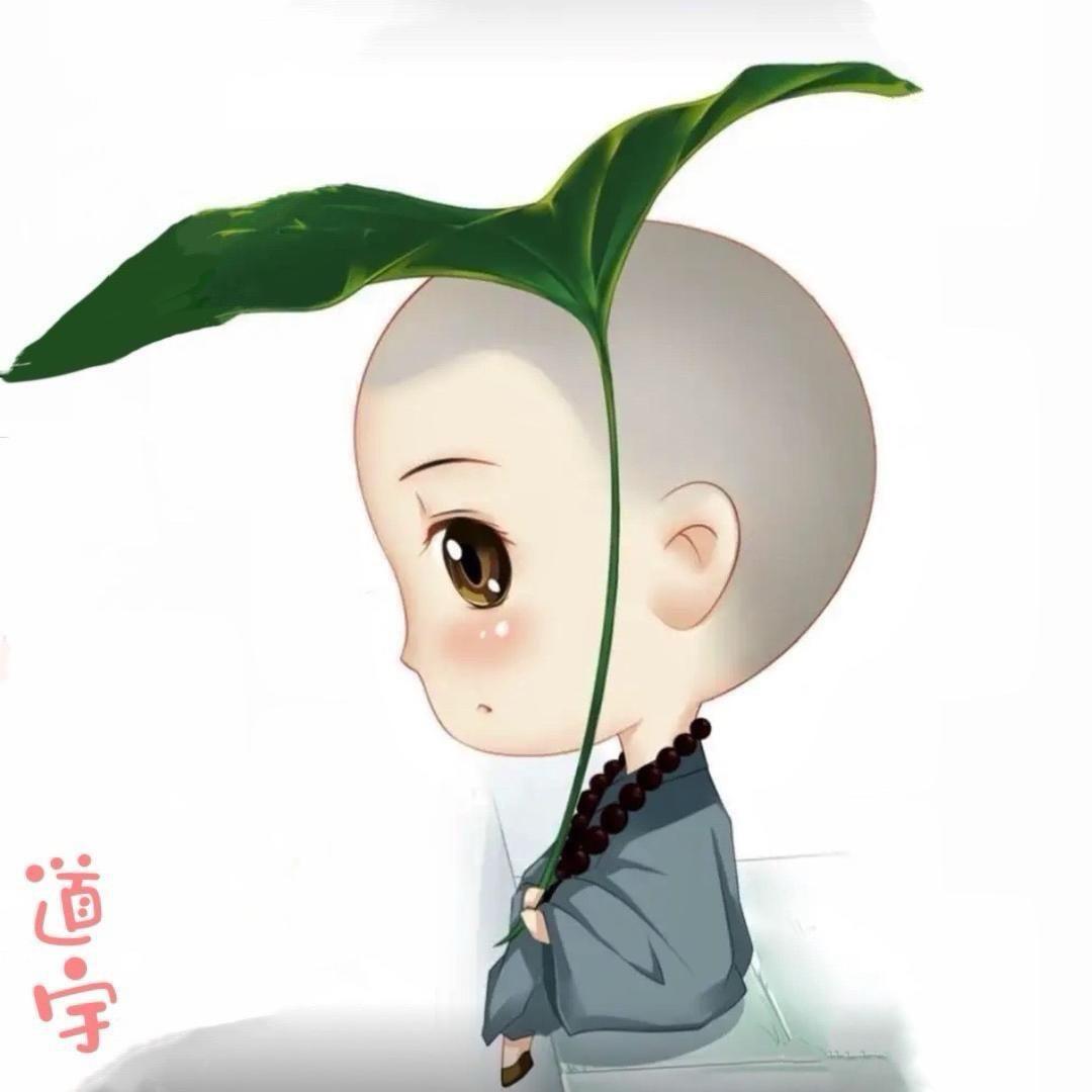 索小普