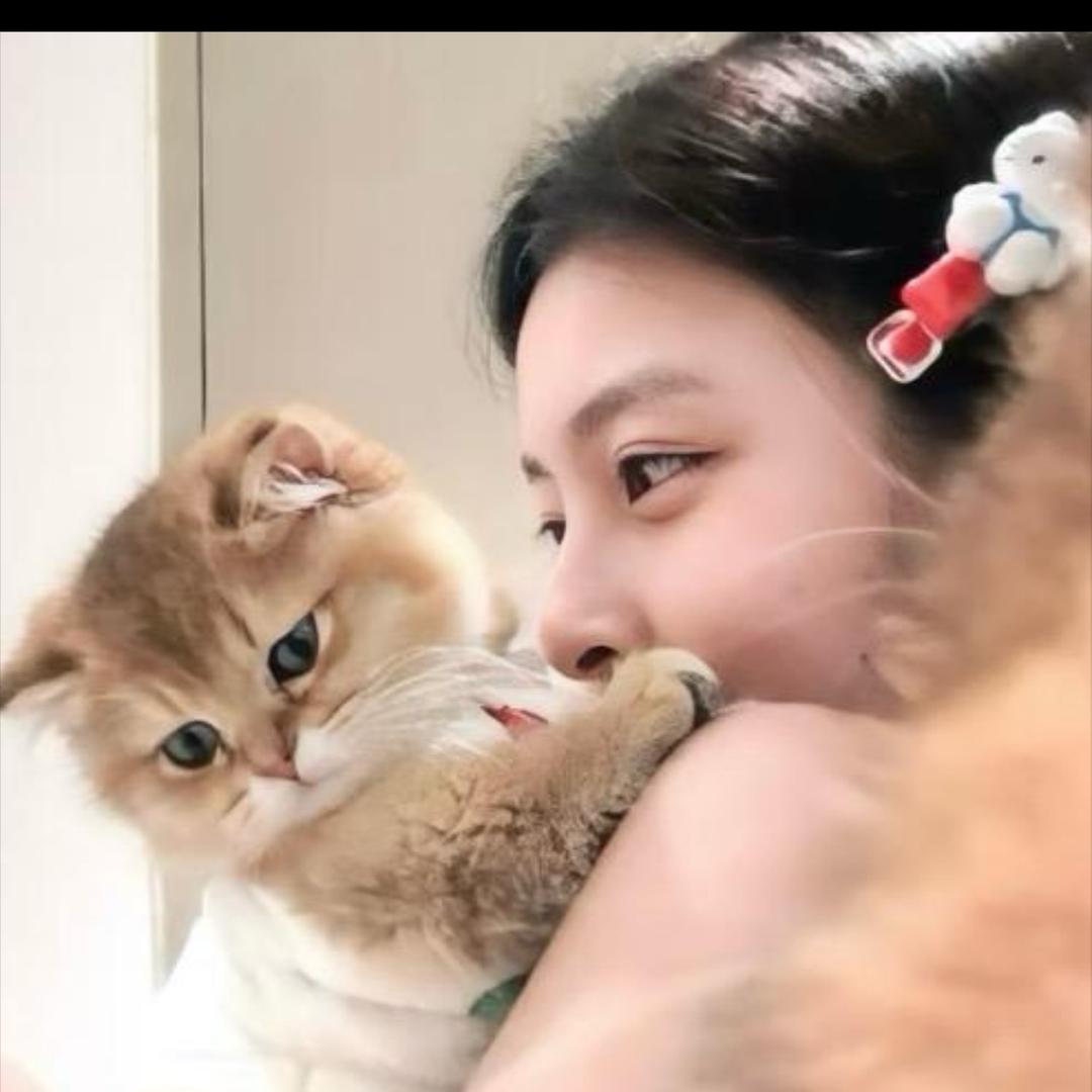 好吃鱼🐟