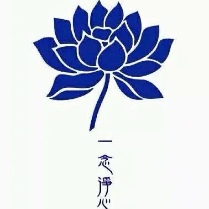Shin