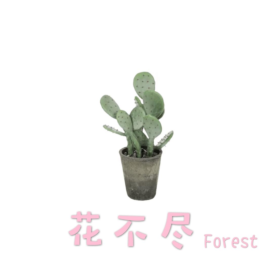 花不尽Forest