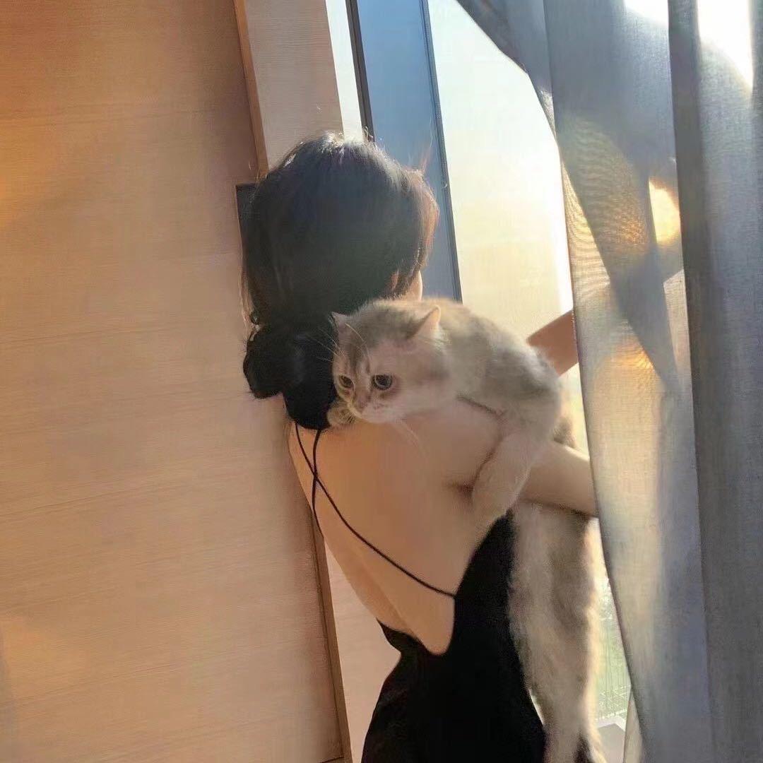 是麦麦吖