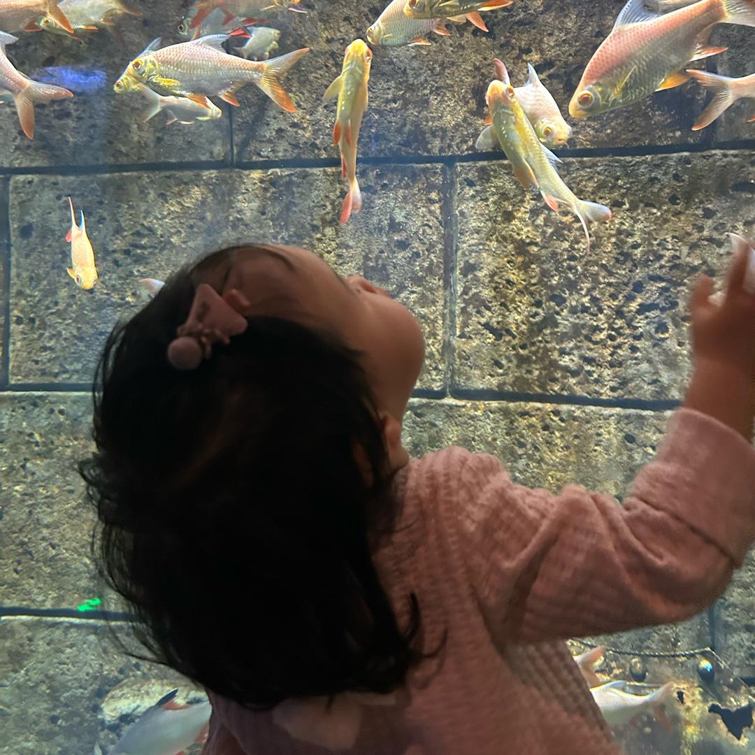 爱笑的品品呀🤗