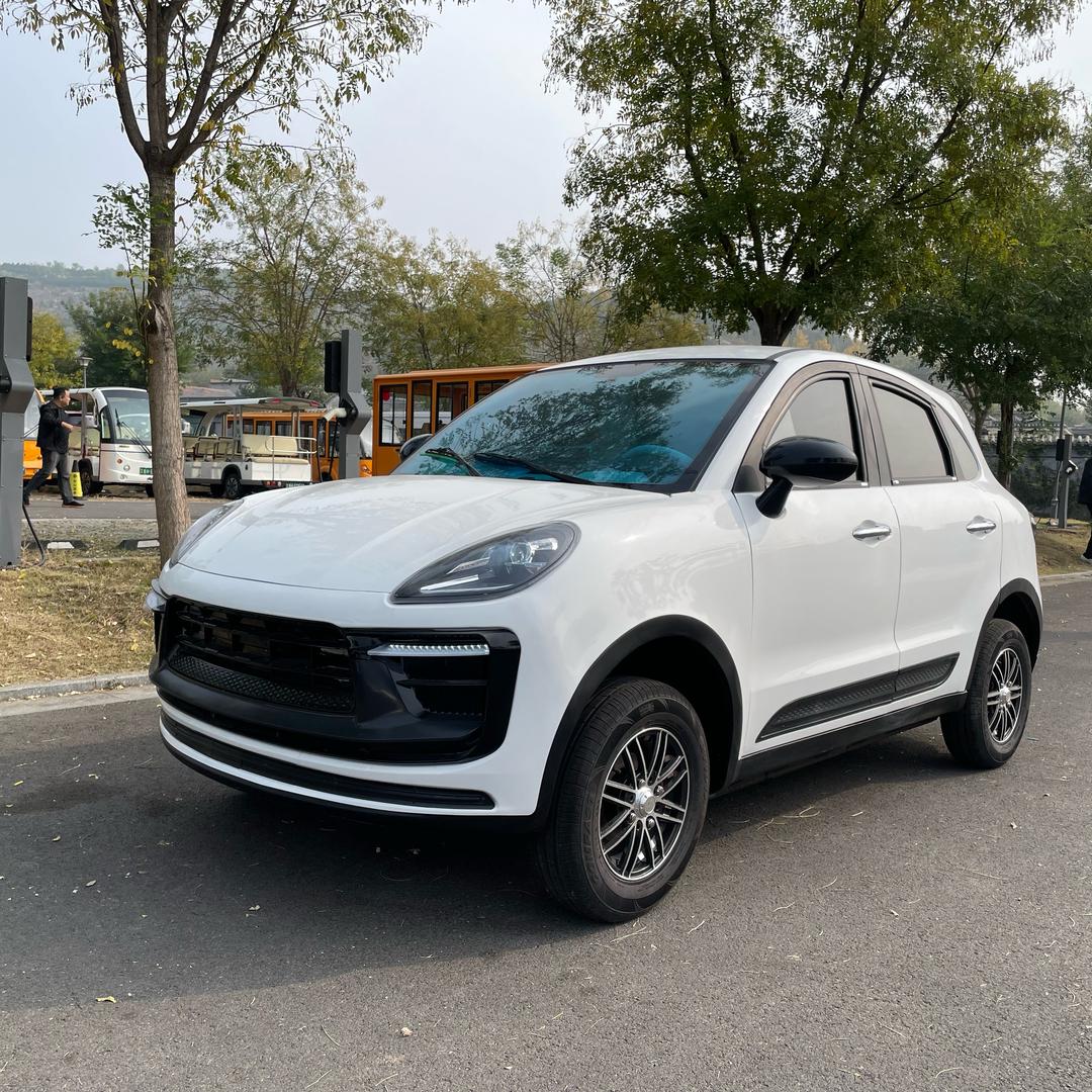 新能电动车直销