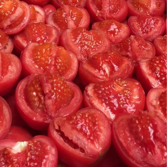 返乡种地的小王