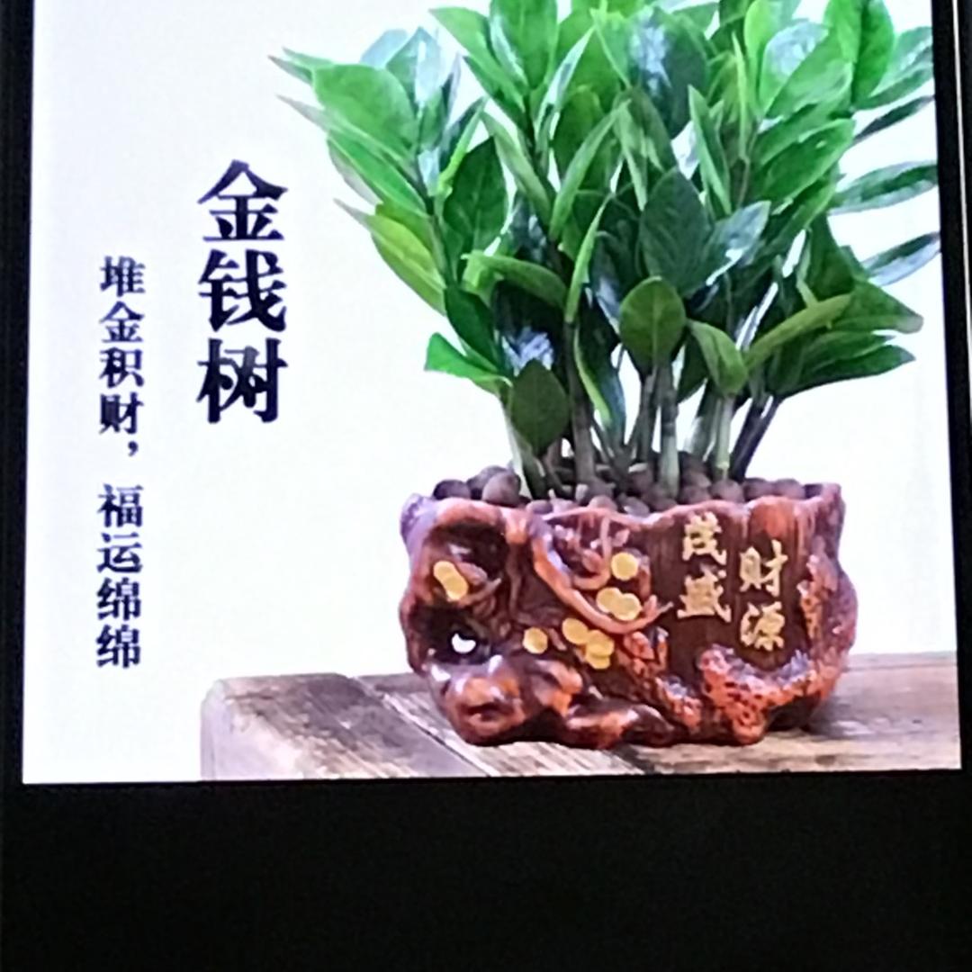 祝你幸福🙏