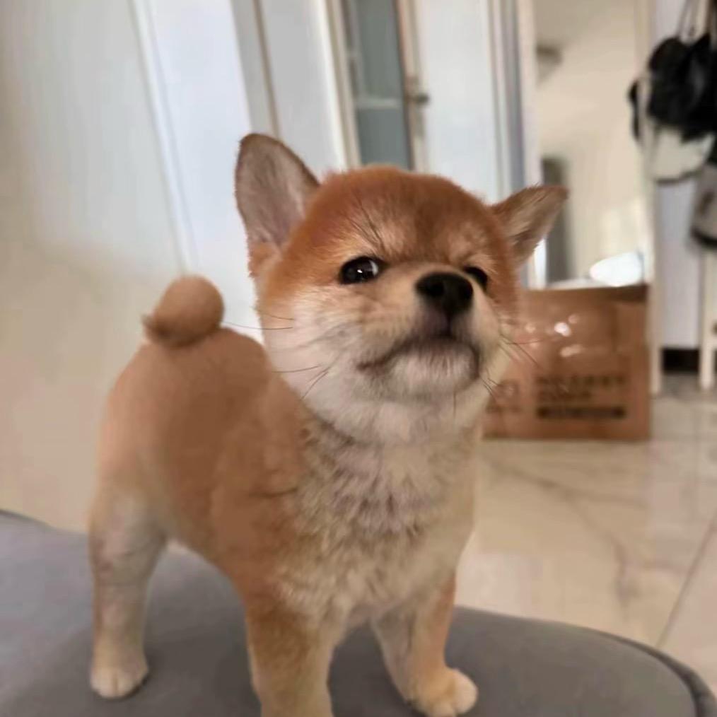 小宇爱记录
