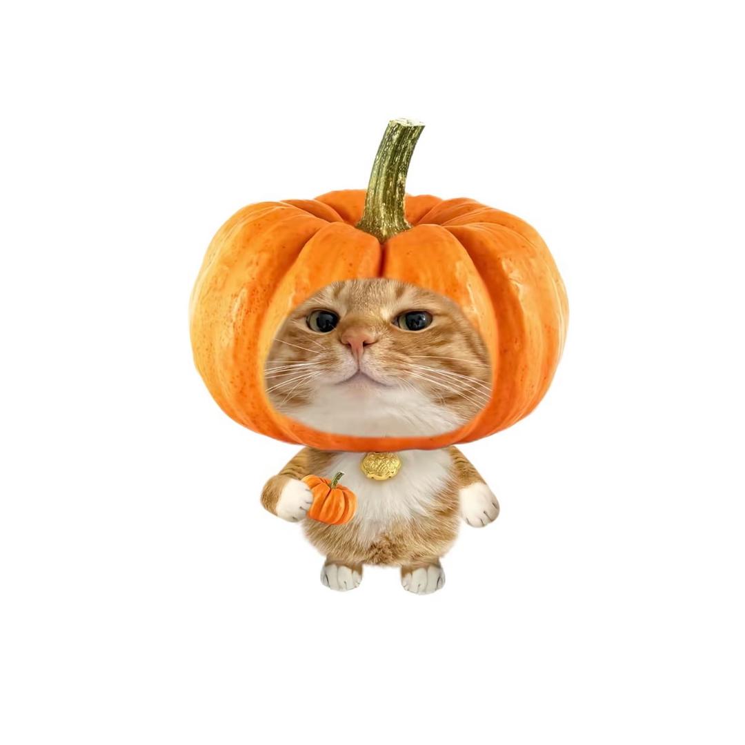 僵尸吃掉了我的大脑、