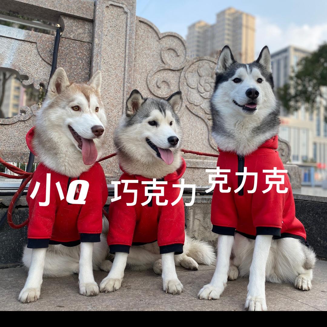 李二狗克力克