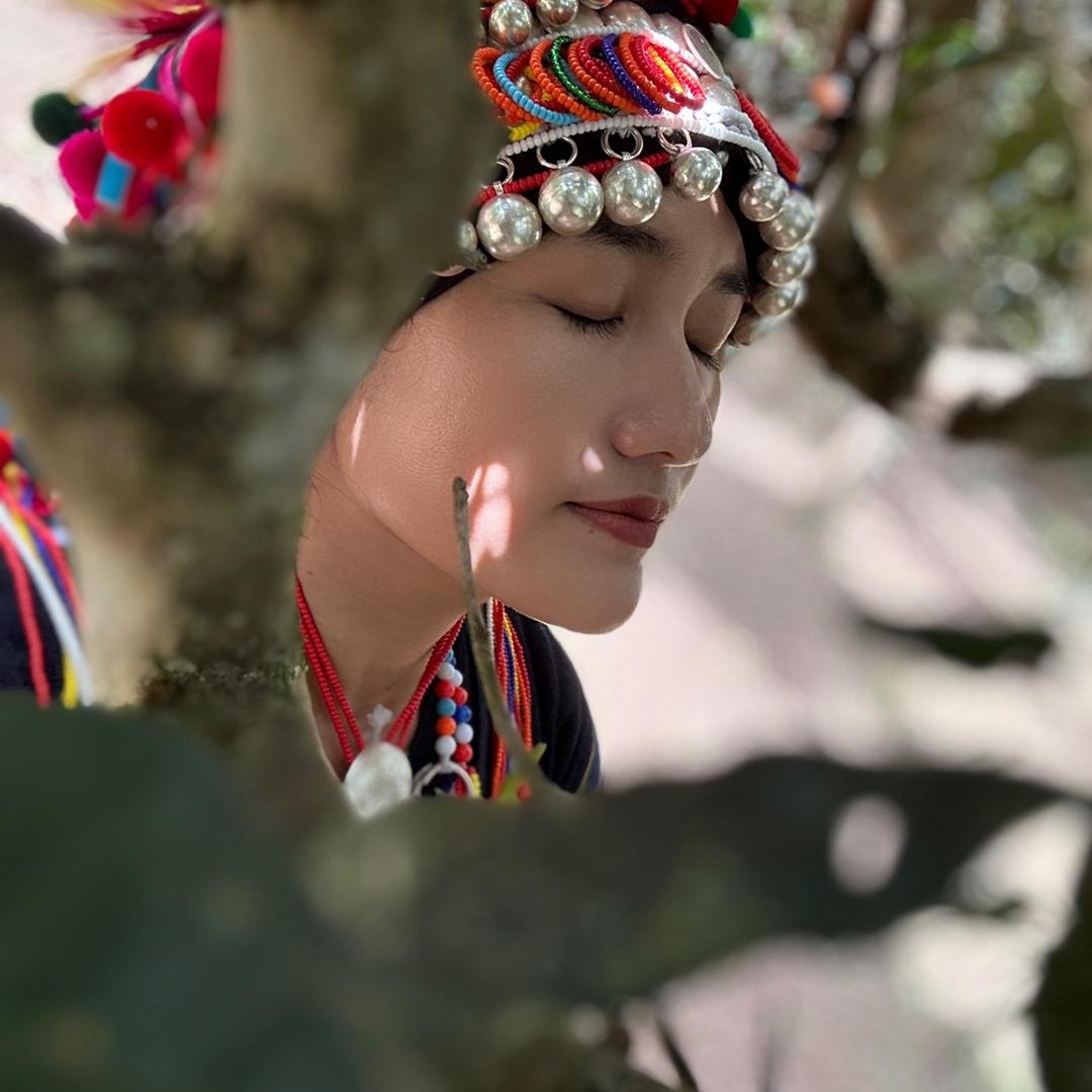 🌿老班章63号.
