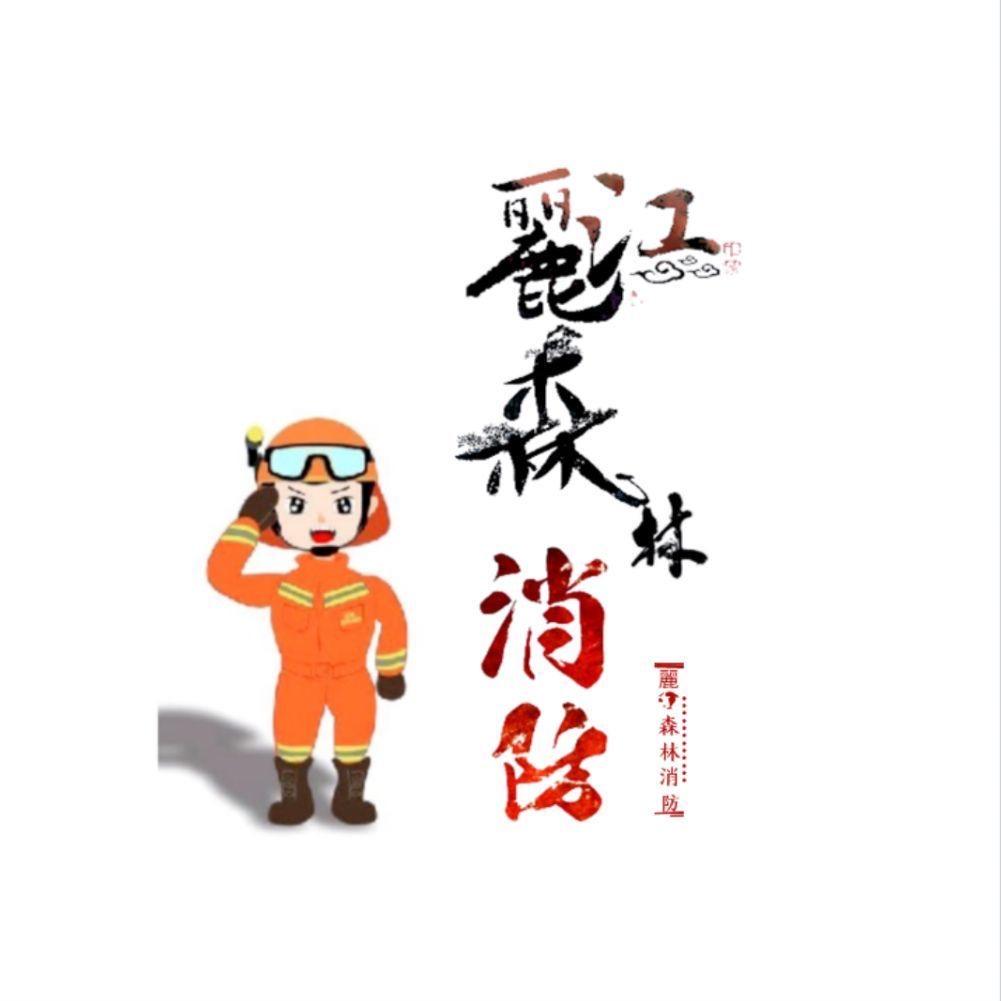 丽江森林消防