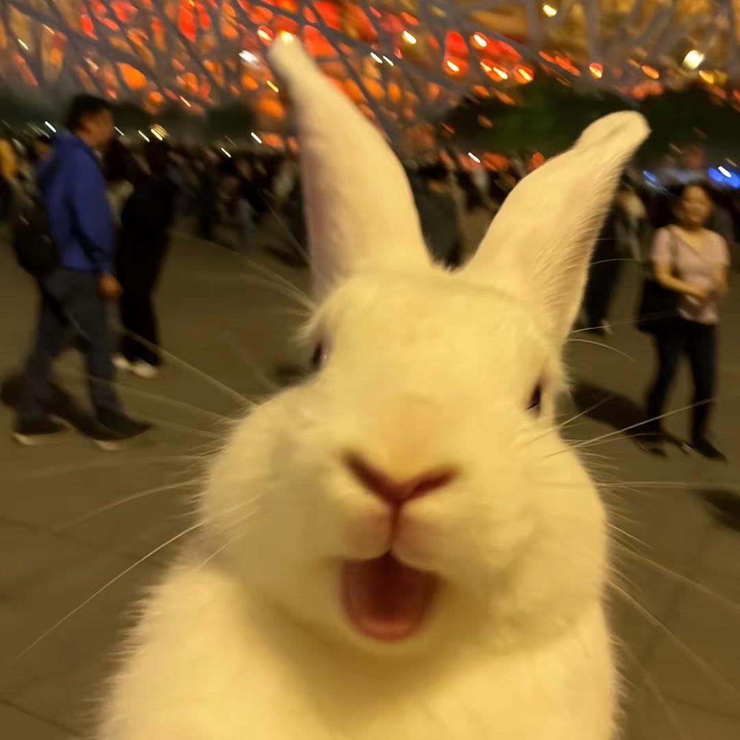 哈哈？