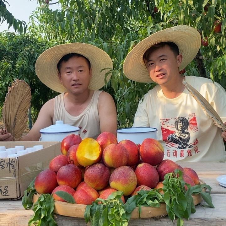 高鹏 唐文涛在果园
