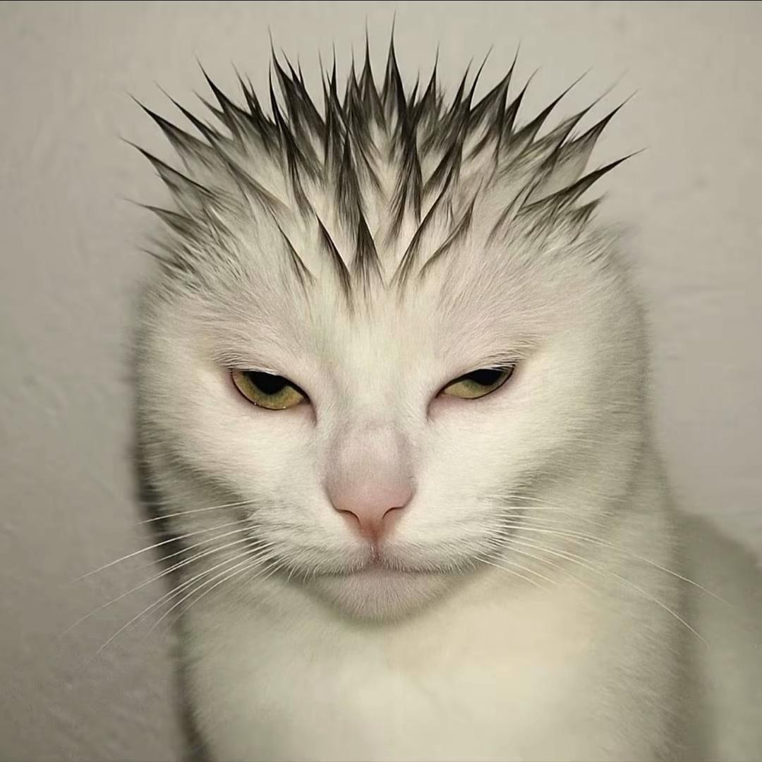 雄鹰一样的男人（雷欧奥特曼版）