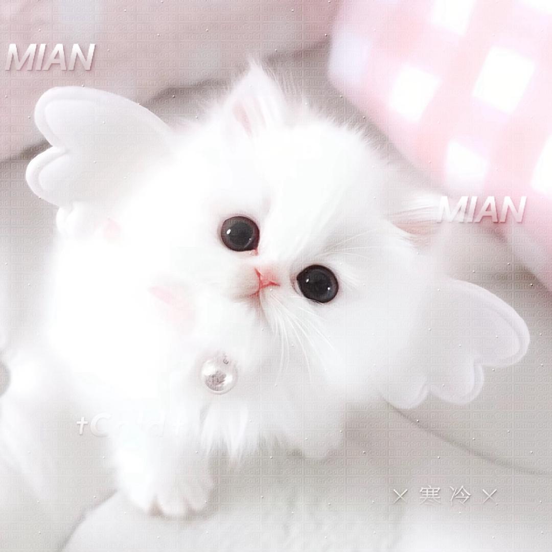 战争