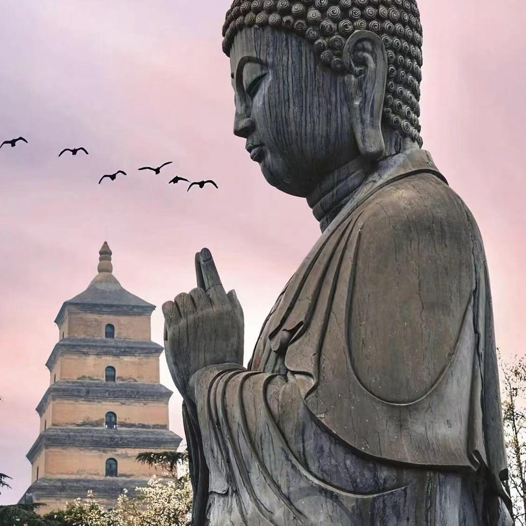 天天向上 热爱生活