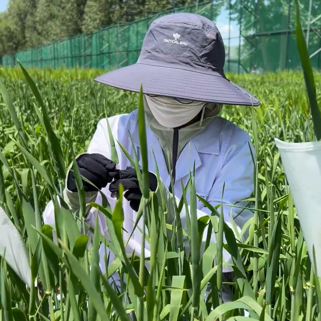 新农人小刘