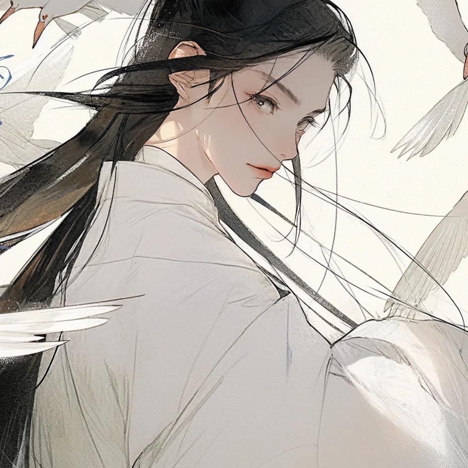 白衣鸟