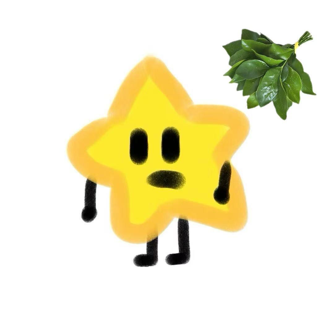 ㅤStar