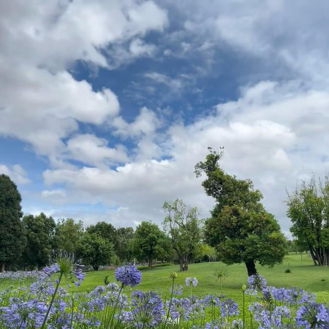 优客行旅居-小远