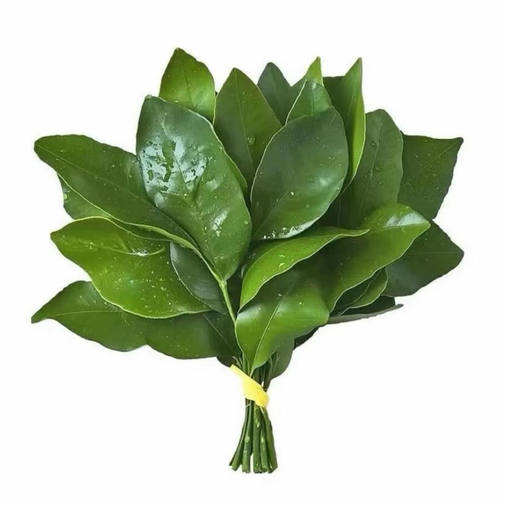 江渡