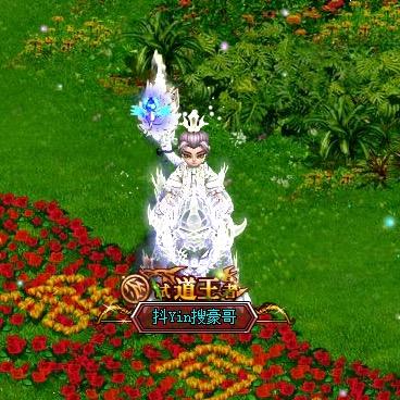问道豪哥（直播号）