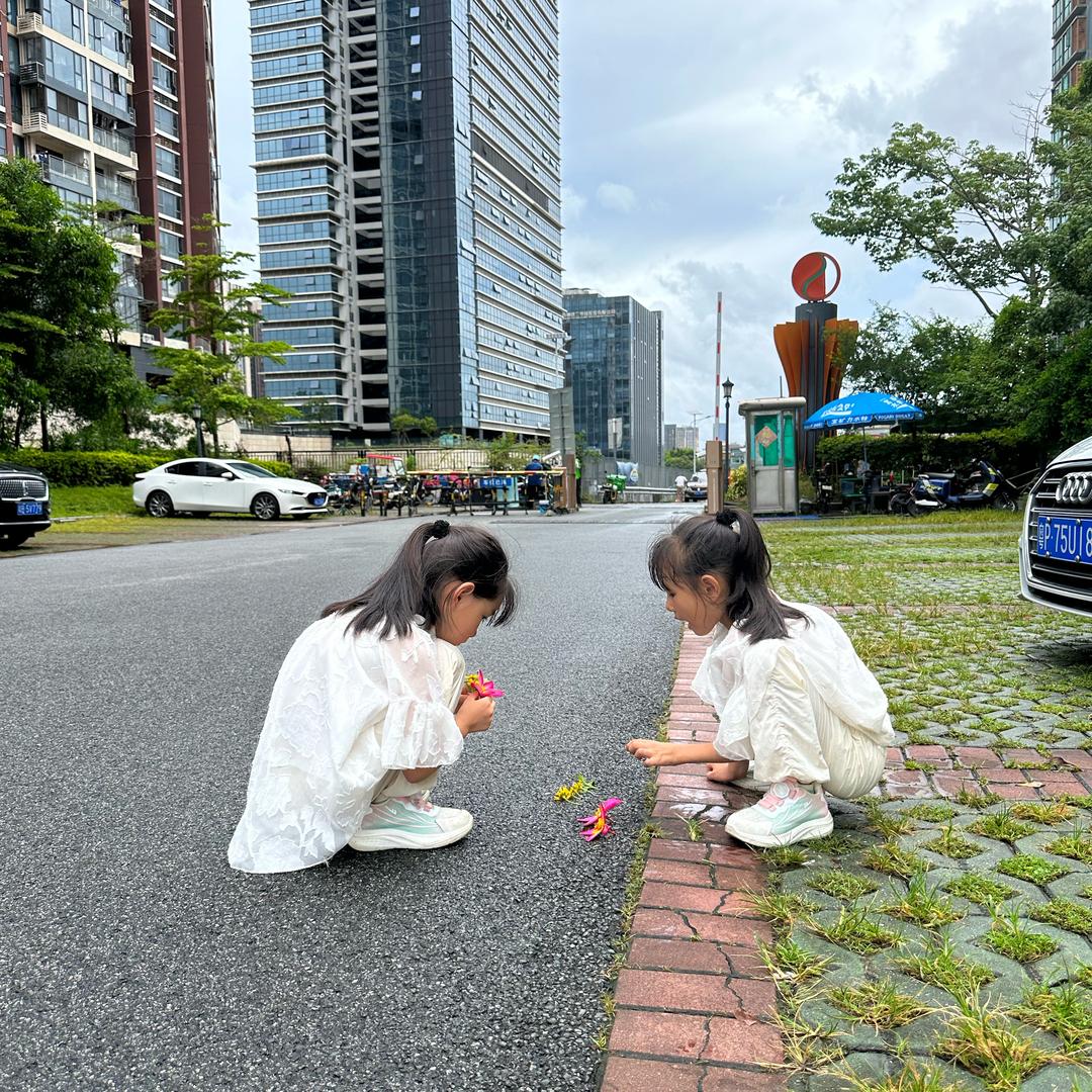 爱吃鱼的招财猫