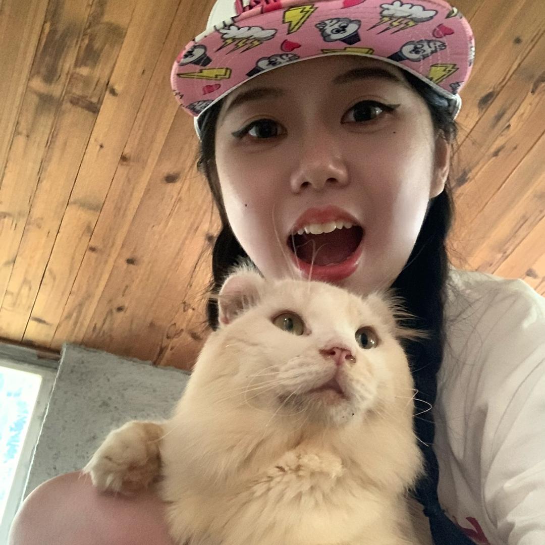 灰灰わ