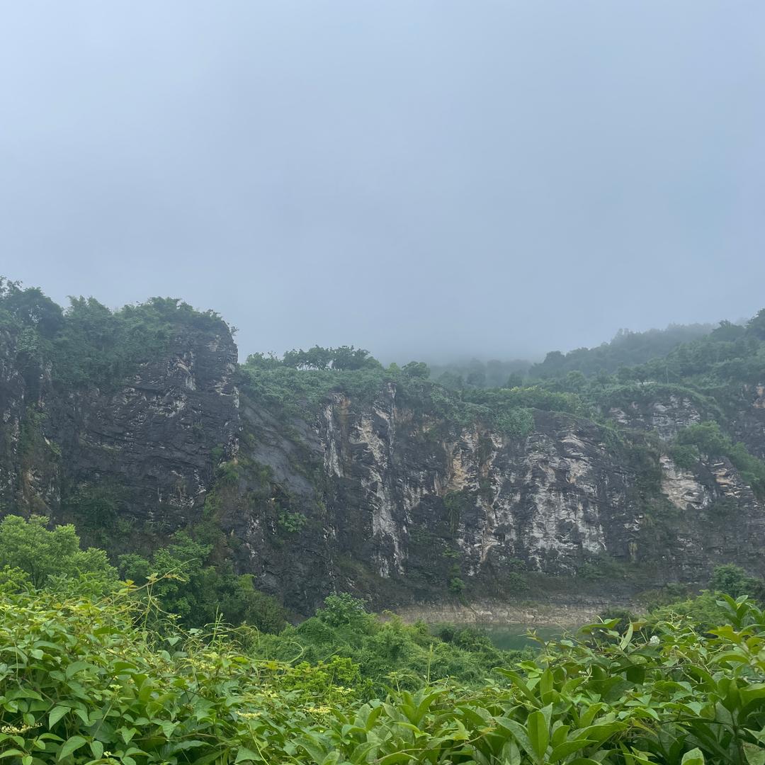 小哈米