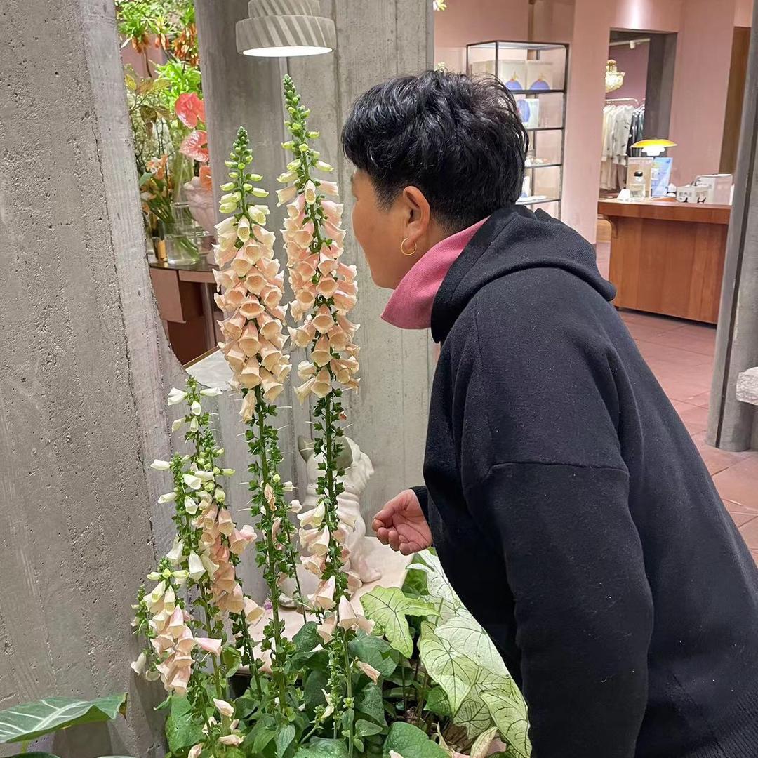 兰花