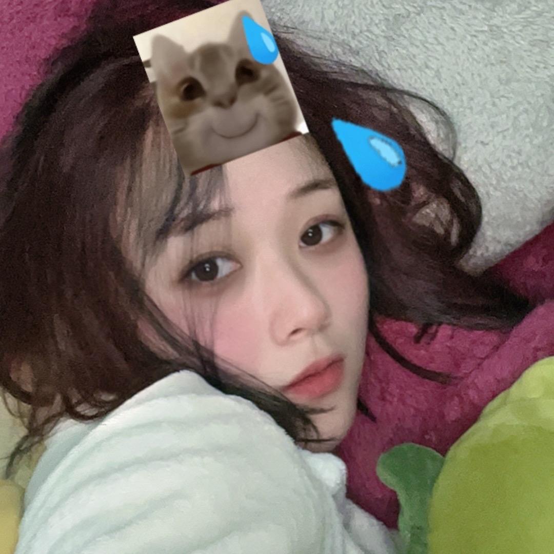 鹌鹑