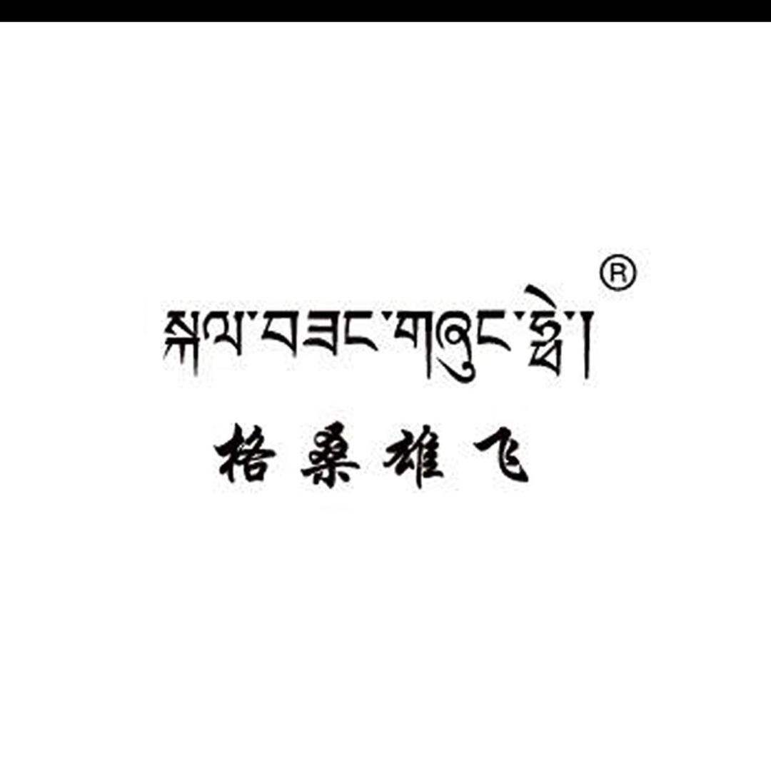 格桑雄飞服装店（团队招人）