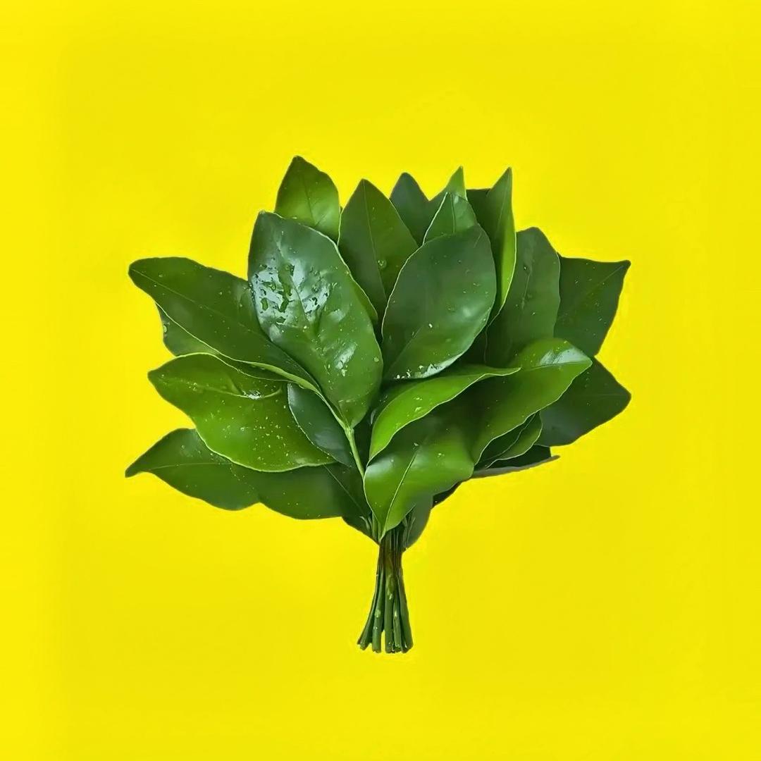 61.