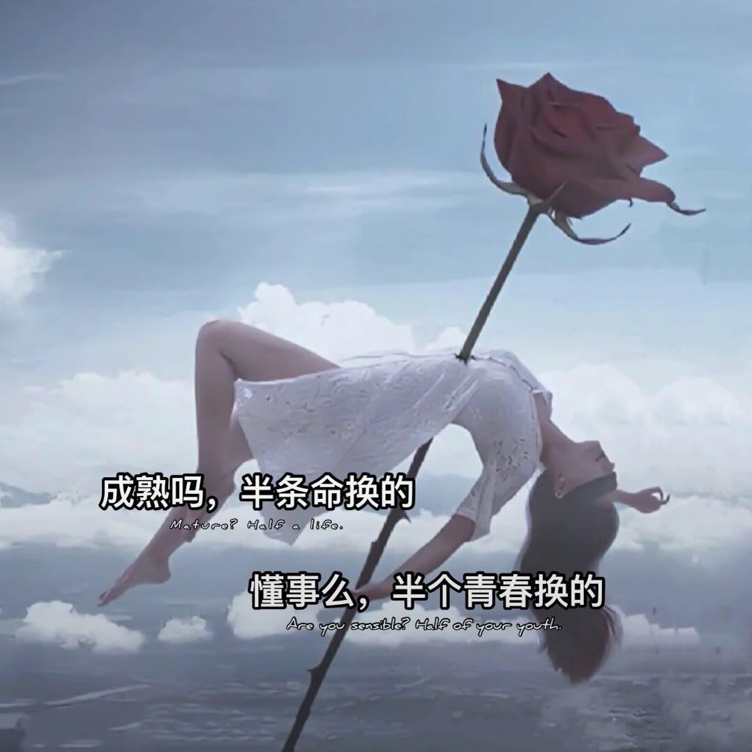 @陈小姐