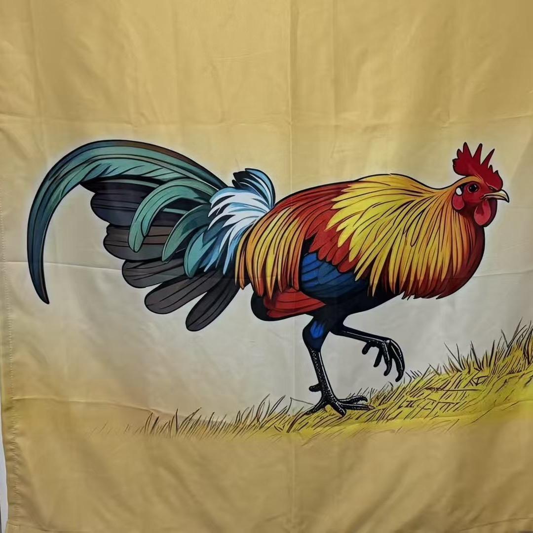 番茄鸡蛋汤先生