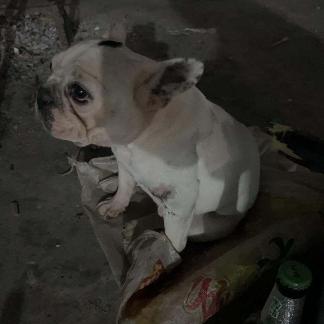 魏