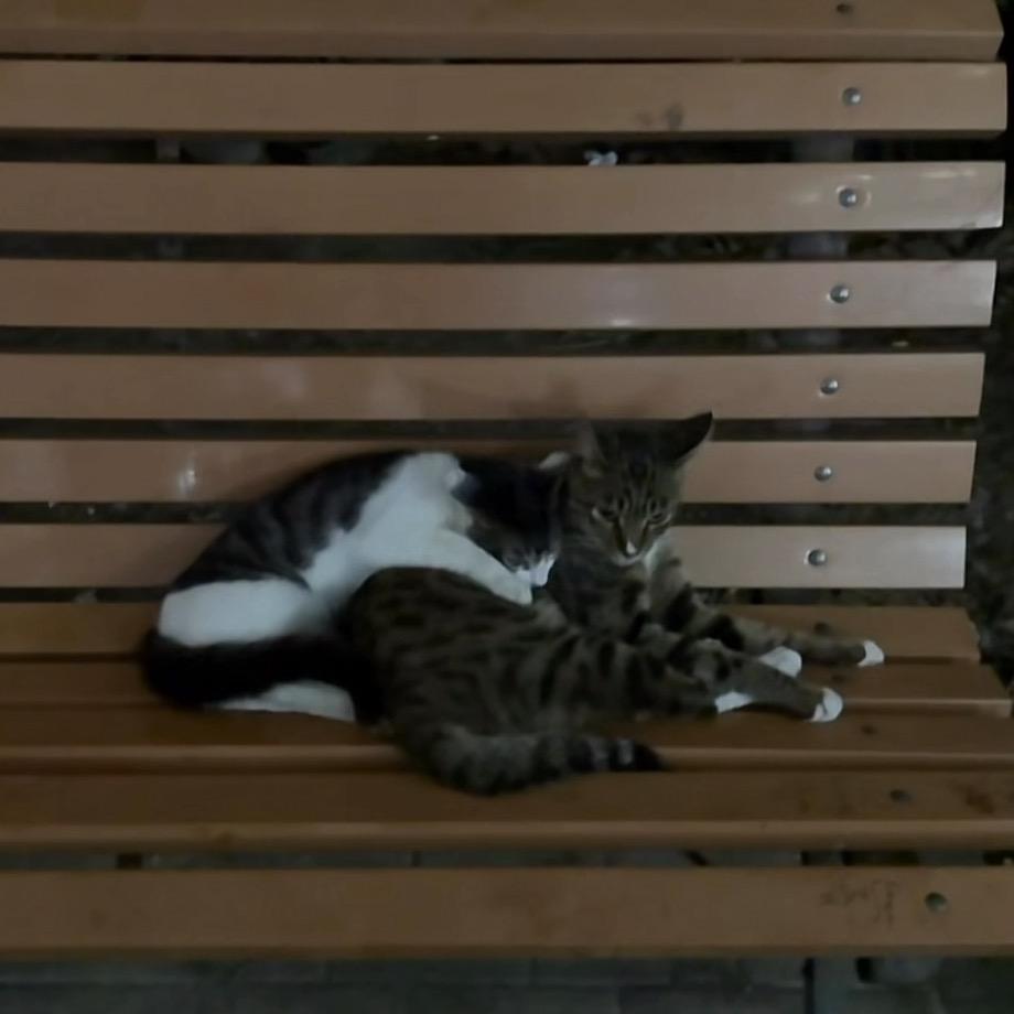 唯小