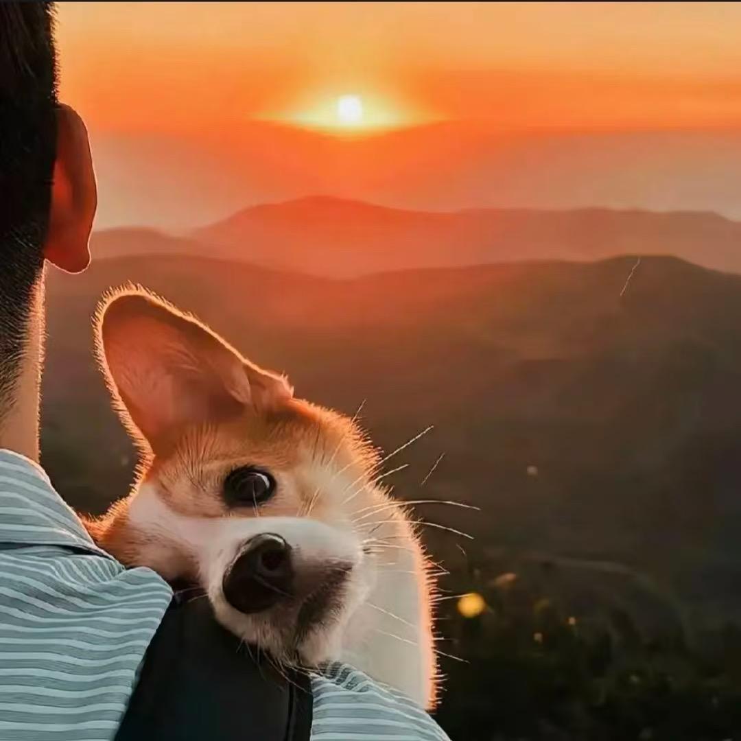 孤影。