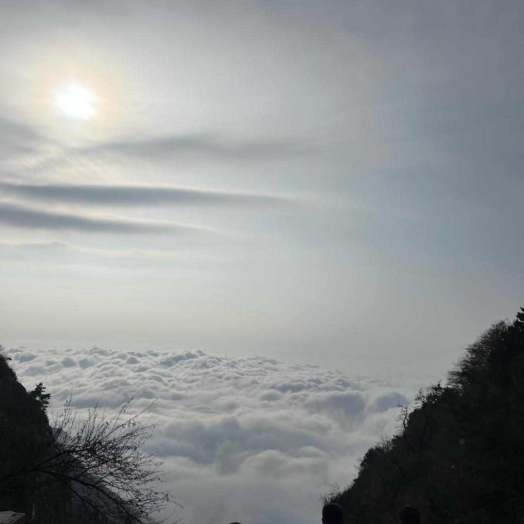 合欢花海（见过泰山云海日出版）