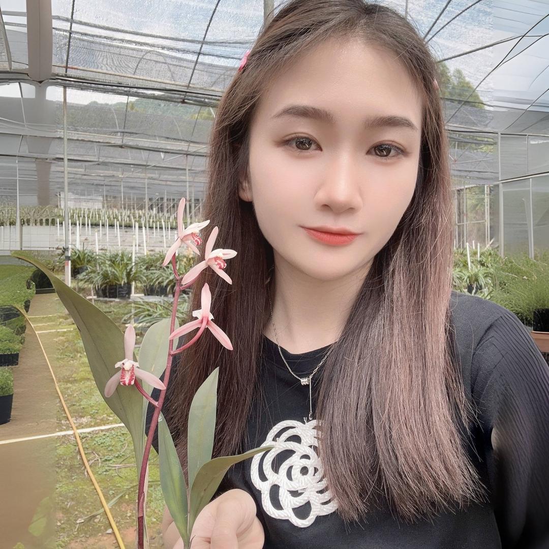 美韵兰苑