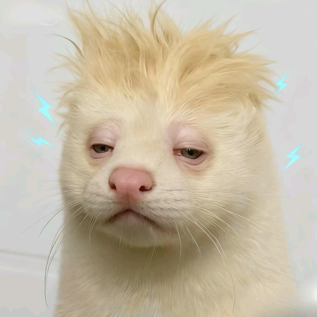 21.57