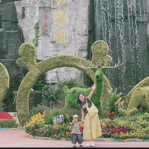 左右左ᰔᩚ