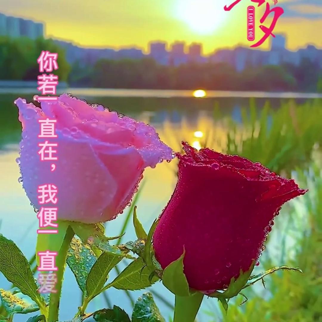 💕专属的承诺💕🌸