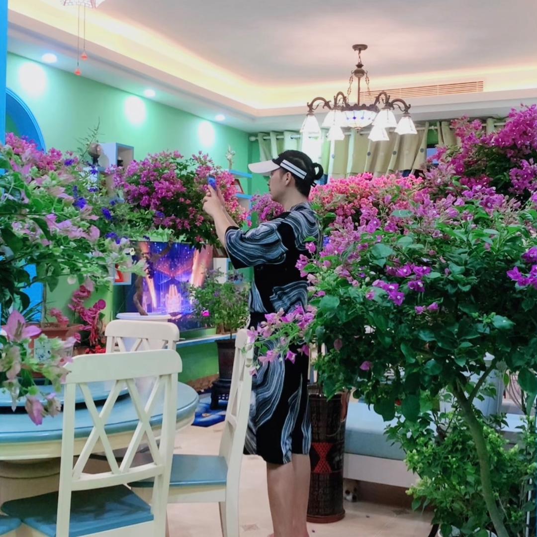 老何家的花园