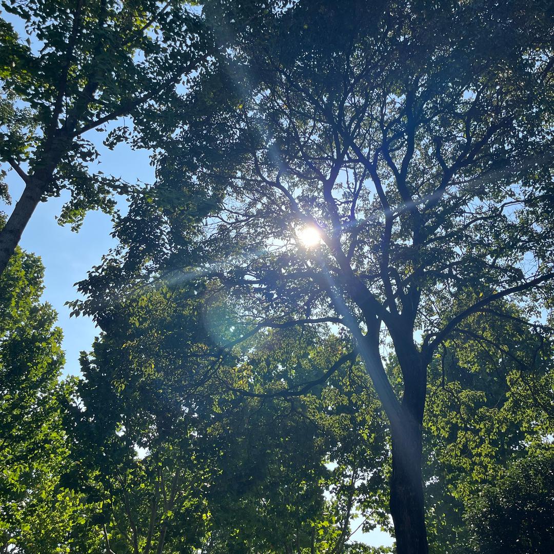 瞍瞍方老师（传统文化）