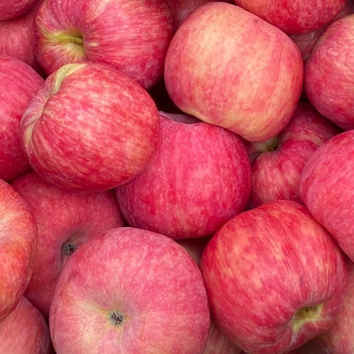 苹果姐，🍎🍎🍎🌹